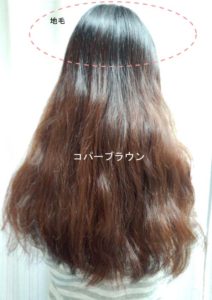 黒髪戻しの使用例画像